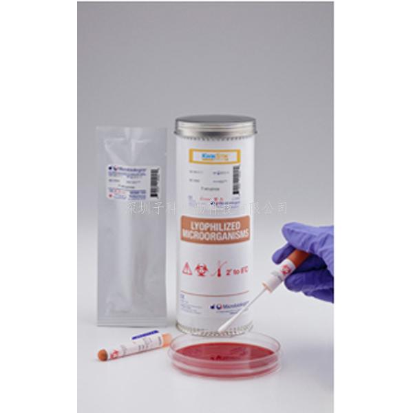 蠟樣芽胞桿菌Bacillus cereus ATCC 2