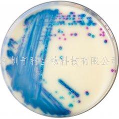 科馬嘉抗萬古霉素腸球菌VRE顯色培養(yǎng)基