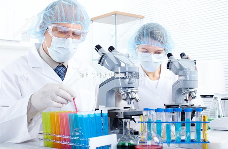 福州大學(xué)唯一通訊單位發(fā)表Nature子刊文章：DNA損傷修復(fù)分子新機(jī)制