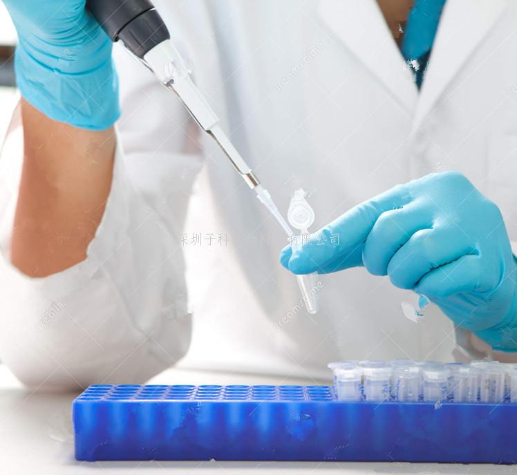 中科院學(xué)者聯(lián)合發(fā)表Science文章：首次在體外重現(xiàn)非人靈長類動(dòng)物胚胎原腸運(yùn)動(dòng)的發(fā)生