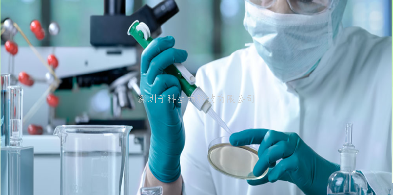 Nature發(fā)現(xiàn)癌細(xì)胞惡化全新機制：一類惡性循環(huán)的“甜甜圈”DNA