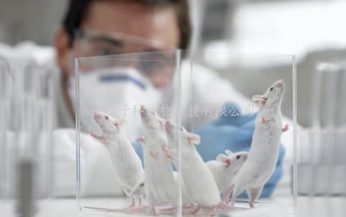 Nature Biotechnology發(fā)文指導(dǎo)Cas13的向?qū)NA設(shè)計