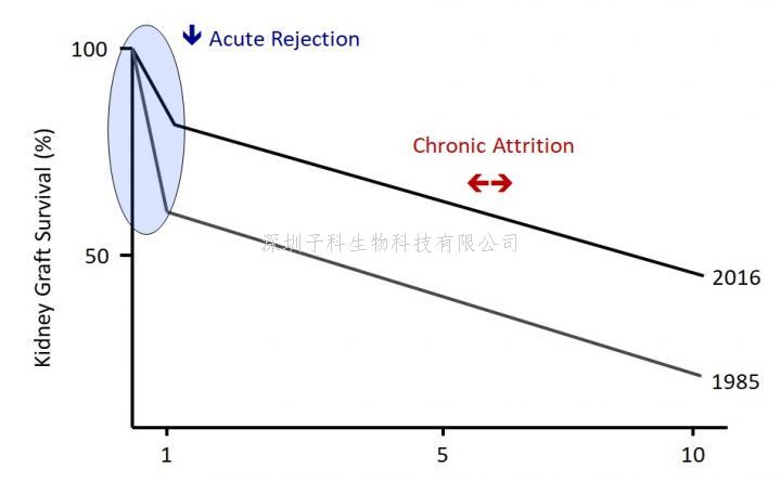 《Science》先天性免疫領(lǐng)域的開創(chuàng)性發(fā)現(xiàn)
