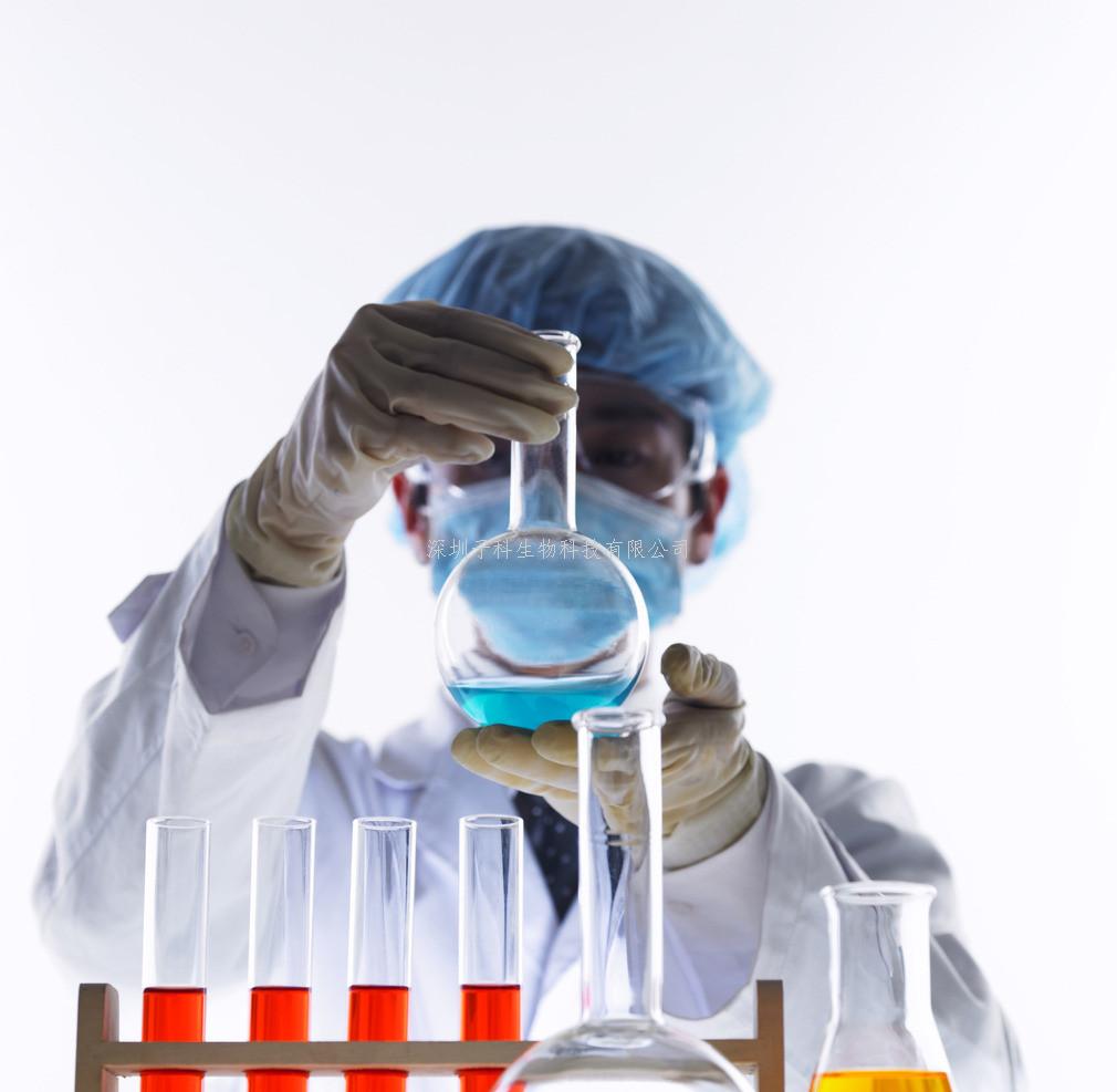 北京師范大學(xué)eLife發(fā)文：揭示測試練習(xí)促進(jìn)記憶更新的神經(jīng)機(jī)制
