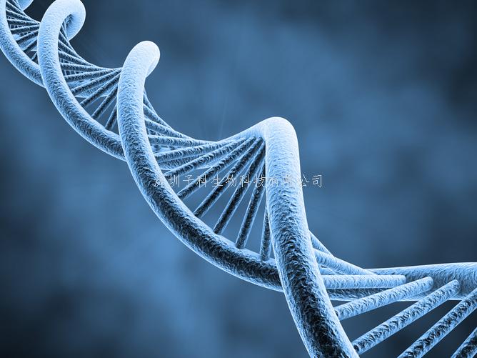 蛋白質N-端選擇性仿生轉氨化合成抗HIV藥物研究取得新進展