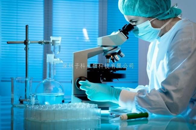 深圳大學(xué)青年教師陳家杰發(fā)現(xiàn)新冠候選藥物羥甲香豆素抗炎新靶點