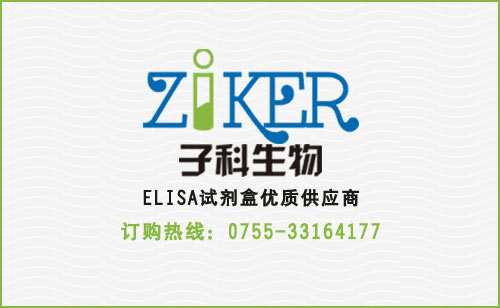 植物延胡索酸酶（fumarase）活性比色法（450nm）定量檢測試劑盒，貨號：GMS50884.5